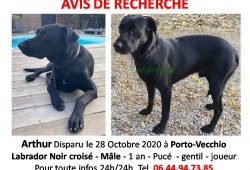 AVIS DE RECHERCHE