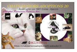 Association chats âgés