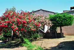 Maisonnette Porticcio